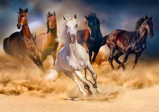 ENJOY Puzzle Koně cválající v poušti 1000 dílků - obrázek 1