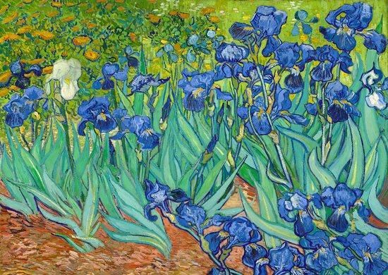 ENJOY Puzzle Vincent Van Gogh: Kosatce 1000 dílků - obrázek 1