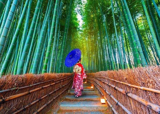 ENJOY Puzzle Asijská žena v bambusovém lese 1000 dílků - obrázek 1