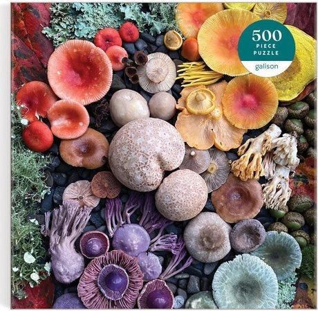 GALISON Čtvercové puzzle Rozkvetlé houby 500 dílků - obrázek 1
