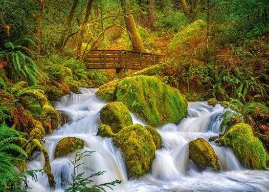 CHERRY PAZZI Puzzle Lesní vodopád 1000 dílků - obrázek 1
