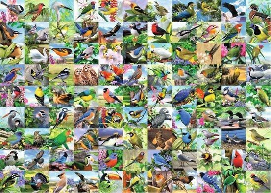 RAVENSBURGER Puzzle 99 úchvatných ptáků EXTRA 300 dílků - obrázek 1