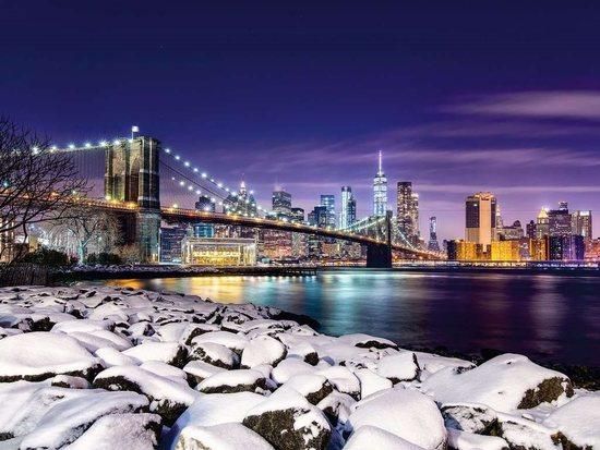 RAVENSBURGER Puzzle Zima v New Yorku 1500 dílků - obrázek 1