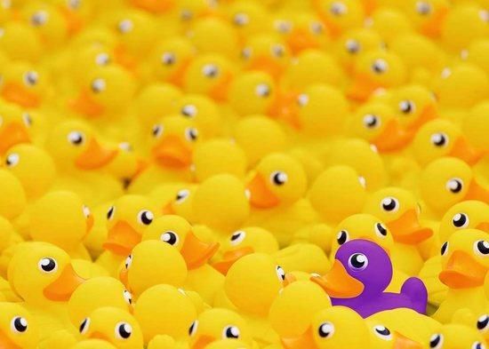 RAVENSBURGER Puzzle Challenge: Kačenky 1000 dílků - obrázek 1