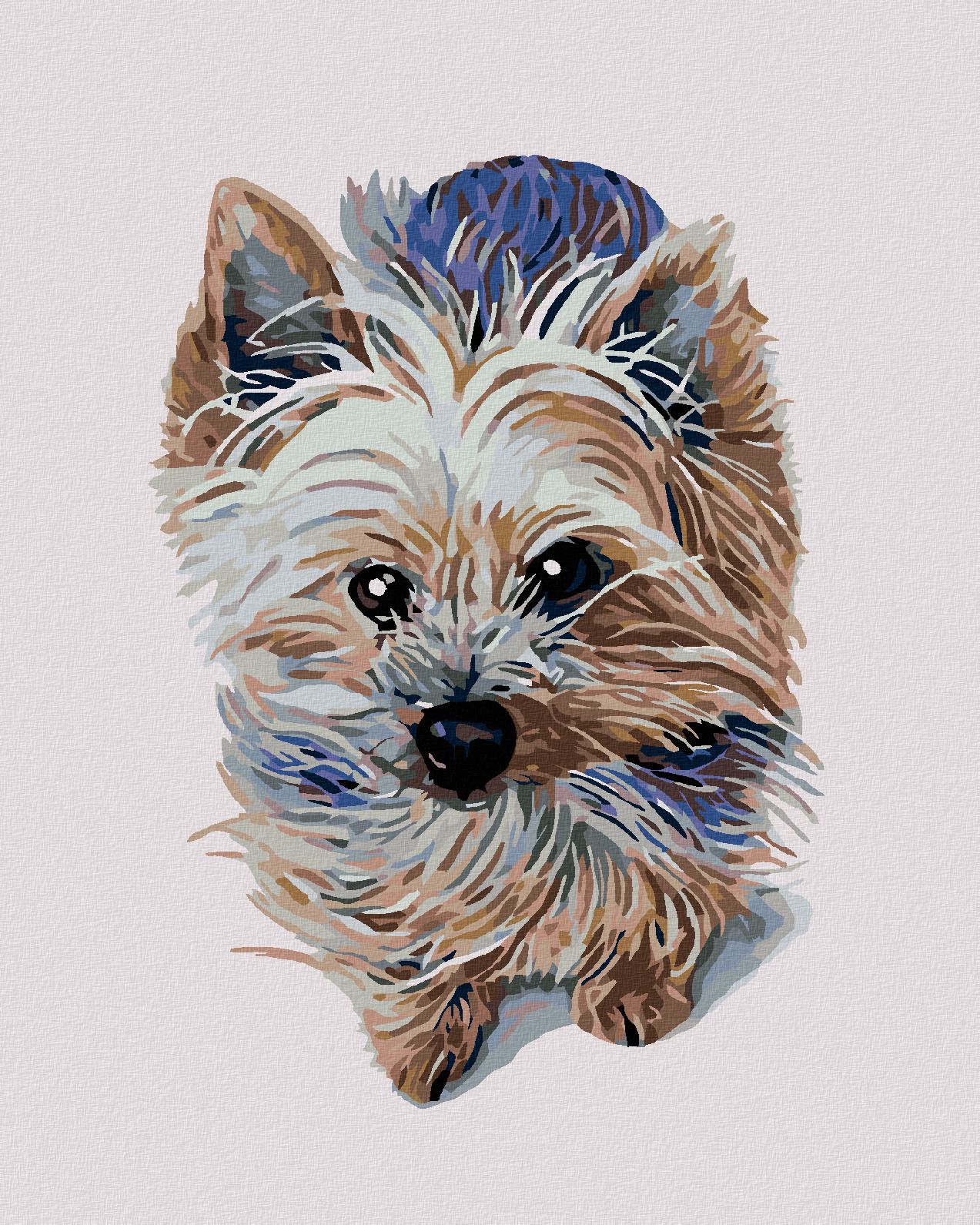 zuty Malování podle čísel - MALÝ JORKŠÍR - Rozměr: 40x50 cm, Rámování: Varianta: bez rámu a bez vypnutí plátna - obrázek 1