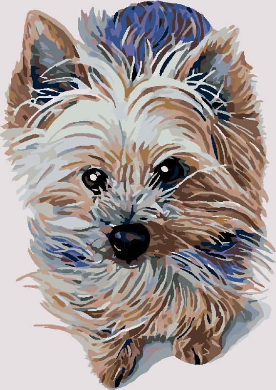 zuty Malování podle čísel - MALÝ JORKŠÍR - Rozměr: 40x50 cm, Rámování: Varianta: bez rámu a bez vypnutí plátna - obrázek 6
