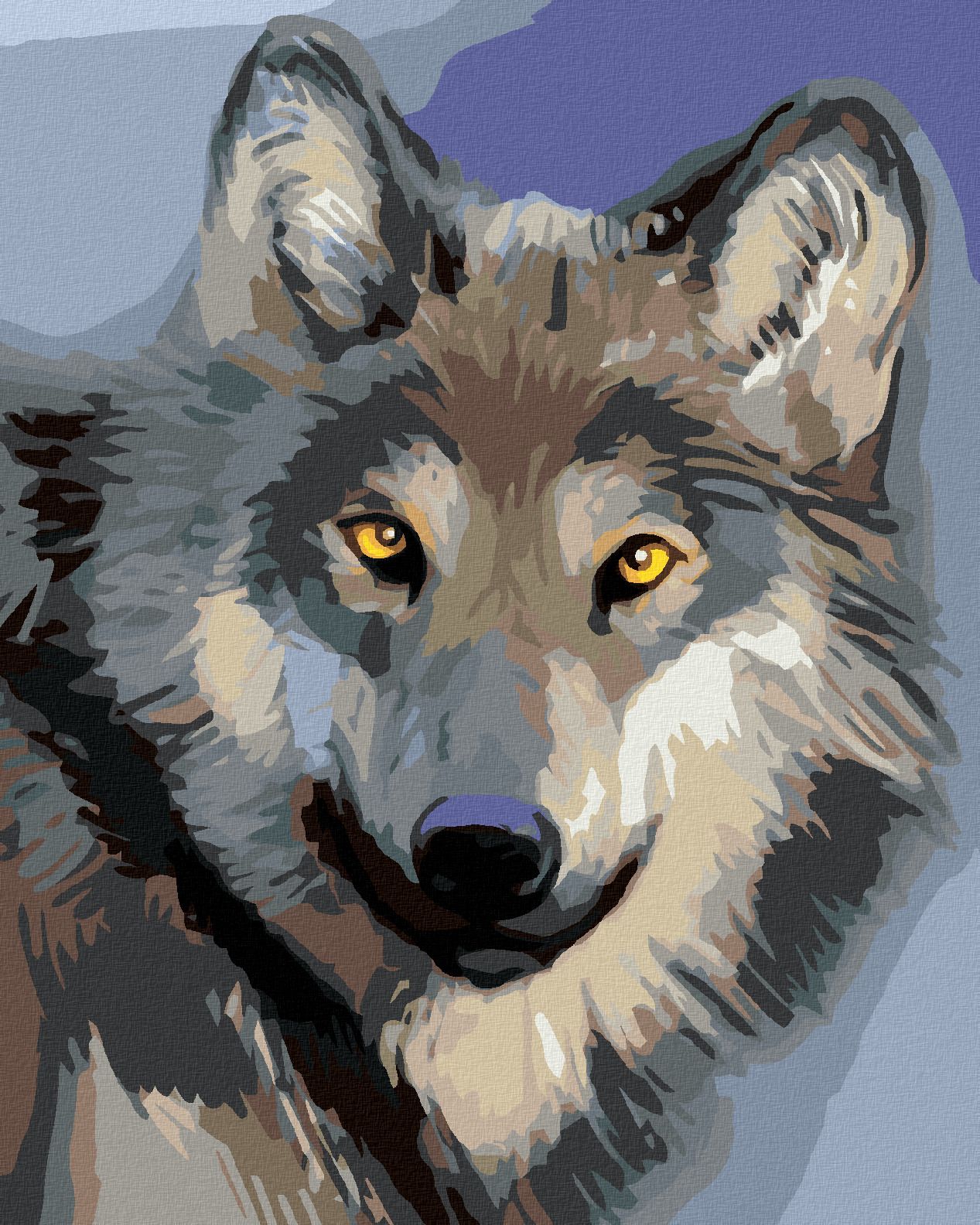 zuty Malování podle čísel - HLAVA VLKA - Rozměr: 40x50 cm, Rámování: Varianta: bez rámu a bez vypnutí plátna - obrázek 1