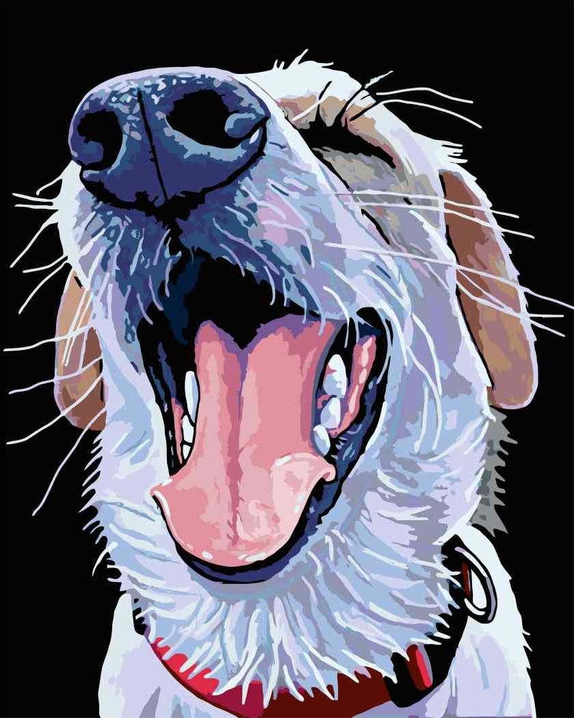 zuty Malování podle čísel - PES S ČERVENÝM OBOJKEM - Rozměr: 40x50 cm, Rámování: Varianta: bez rámu a bez vypnutí plátna - obrázek 16