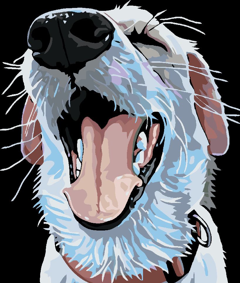 zuty Malování podle čísel - PES S ČERVENÝM OBOJKEM - Rozměr: 40x50 cm, Rámování: Varianta: vypnuté plátno na rám - obrázek 8