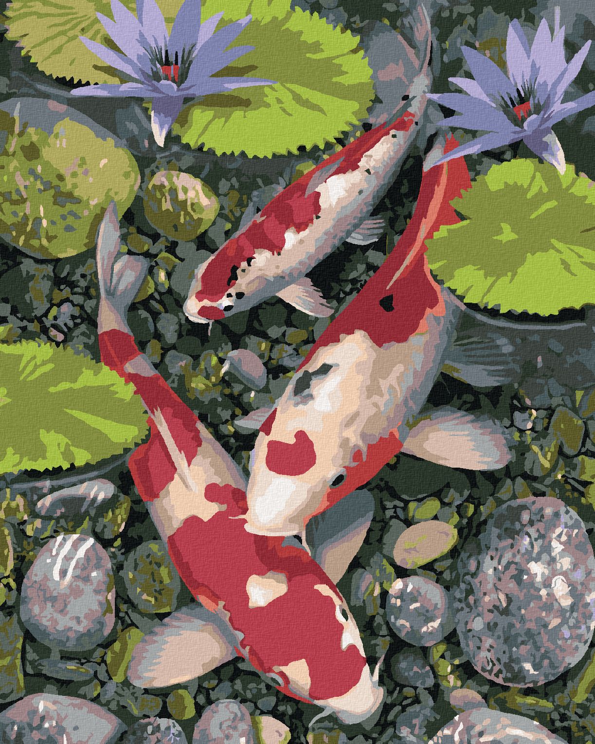 zuty Malování podle čísel - KOI KAPŘI A LEKNÍNY (HOWARD ROBINSON) - Rozměr: 40x50 cm, Rámování: Varianta: vypnuté plátno na rám - obrázek 1