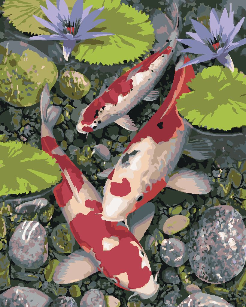 zuty Malování podle čísel - KOI KAPŘI A LEKNÍNY (HOWARD ROBINSON) - Rozměr: 40x50 cm, Rámování: Varianta: vypnuté plátno na rám - obrázek 5