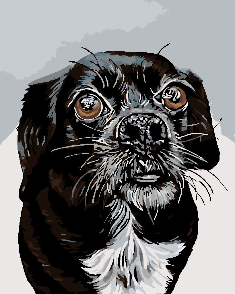 zuty Malování podle čísel - ČERNOBÍLÝ OŘÍŠEK - Rozměr: 40x50 cm, Rámování: Varianta: bez rámu a bez vypnutí plátna - obrázek 19
