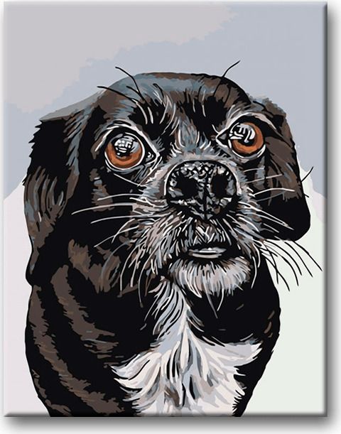 zuty Malování podle čísel - ČERNOBÍLÝ OŘÍŠEK - Rozměr: 40x50 cm, Rámování: Varianta: vypnuté plátno na rám - obrázek 17