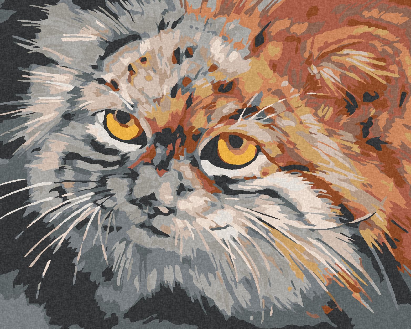 zuty Malování podle čísel - ŠEDOHNĚDÁ KOČKA - Rozměr: 40x50 cm, Rámování: Varianta: vypnuté plátno na rám - obrázek 1
