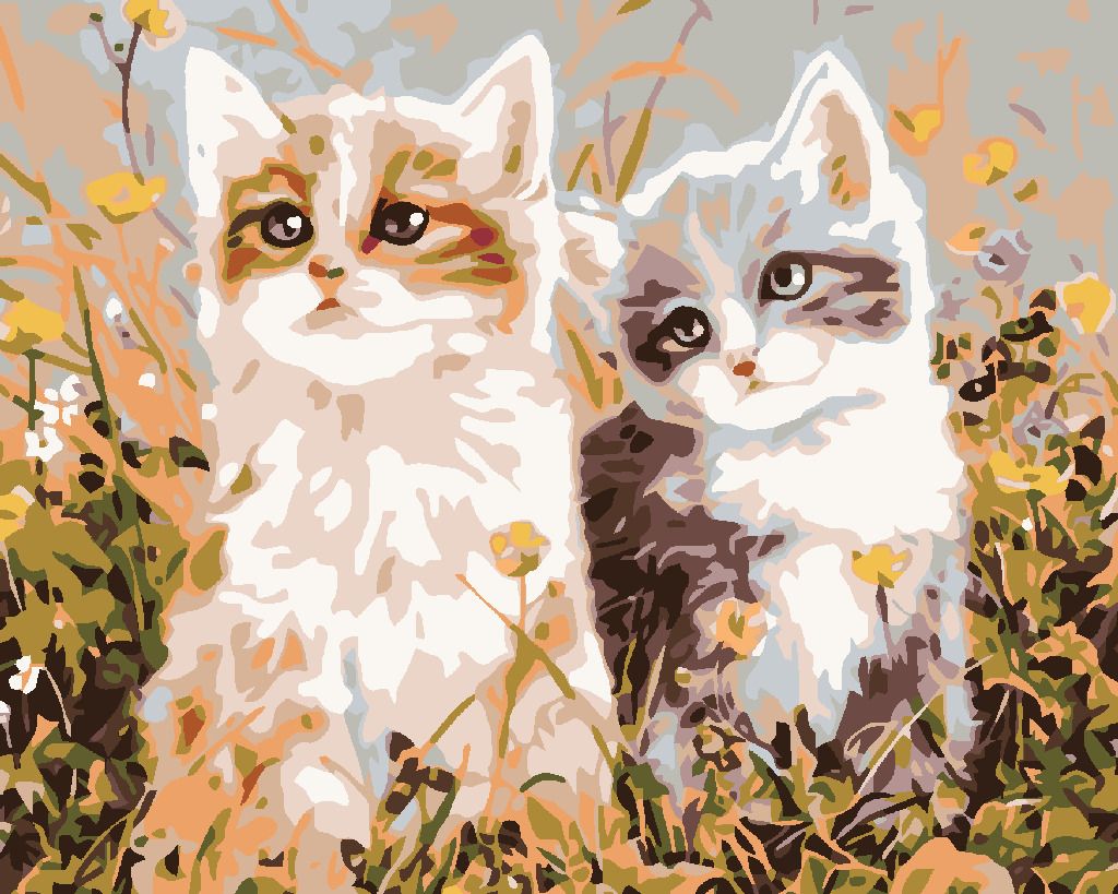 zuty Malování podle čísel - KOŤATA A LUČNÍ KVÍTÍ - Rozměr: 40x50 cm, Rámování: Varianta: bez rámu a bez vypnutí plátna - obrázek 4