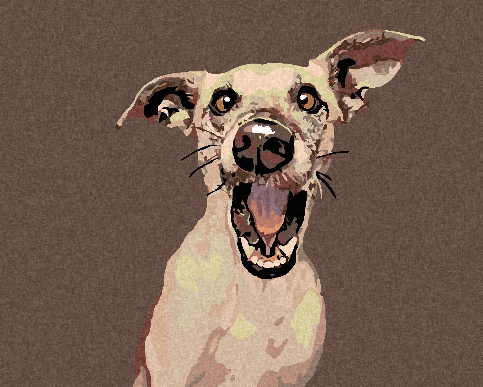 zuty Malování podle čísel - PŘEKVAPENÝ PES - Rozměr: 40x50 cm, Rámování: Varianta: vypnuté plátno na rám - obrázek 1