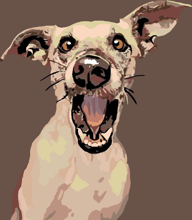 zuty Malování podle čísel - PŘEKVAPENÝ PES - Rozměr: 40x50 cm, Rámování: Varianta: vypnuté plátno na rám - obrázek 15
