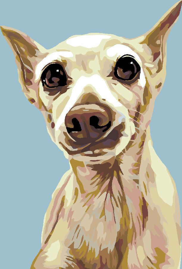 zuty Malování podle čísel - VYDĚŠENÝ PEJSEK - Rozměr: 40x50 cm, Rámování: Varianta: vypnuté plátno na rám - obrázek 10