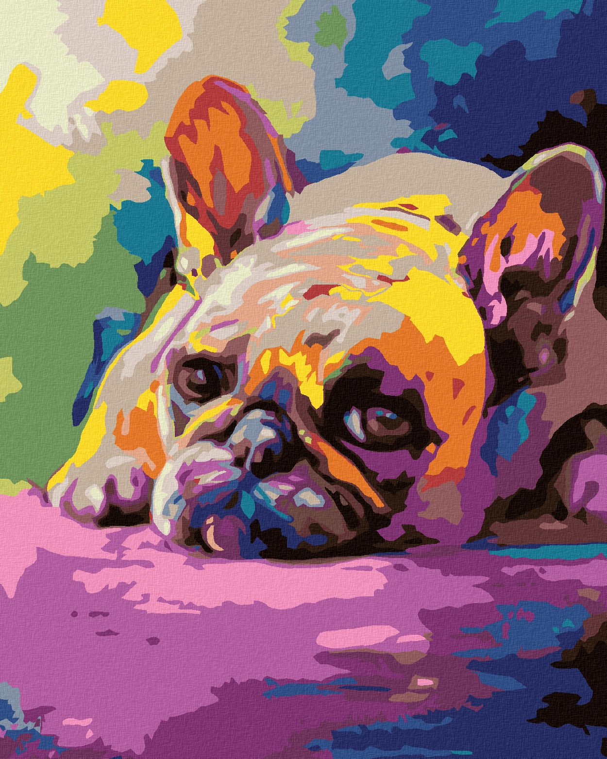 zuty Malování podle čísel - LEŽÍCÍ BULDOČEK - Rozměr: 40x50 cm, Rámování: Varianta: vypnuté plátno na rám - obrázek 1