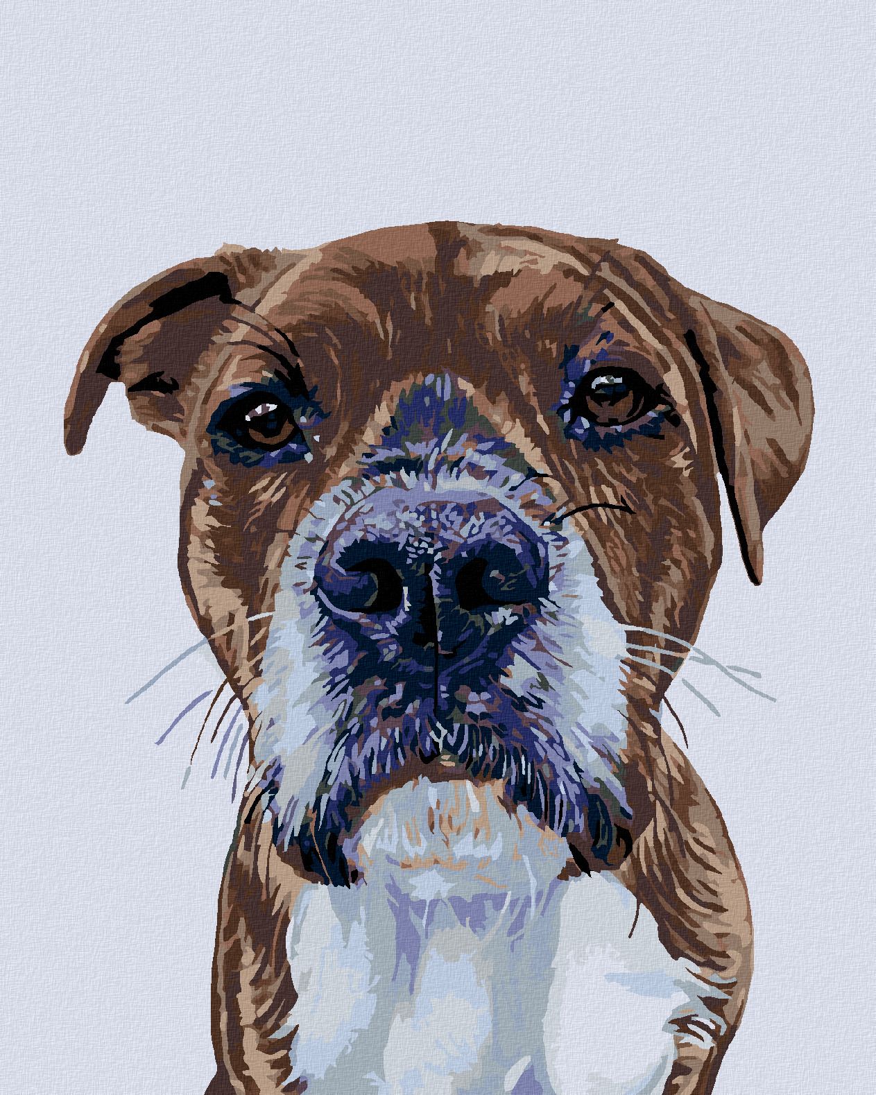 zuty Malování podle čísel - PSÍ POHLED - Rozměr: 40x50 cm, Rámování: Varianta: bez rámu a bez vypnutí plátna - obrázek 1