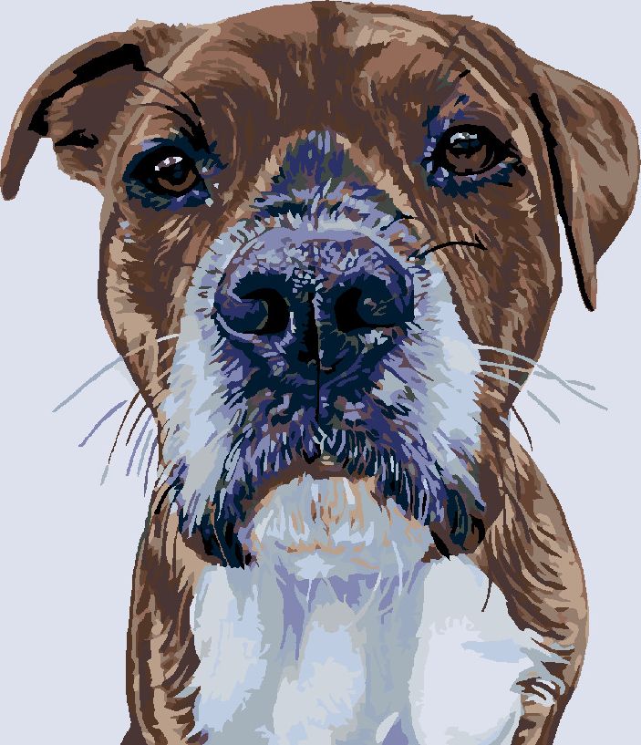 zuty Malování podle čísel - PSÍ POHLED - Rozměr: 40x50 cm, Rámování: Varianta: bez rámu a bez vypnutí plátna - obrázek 9