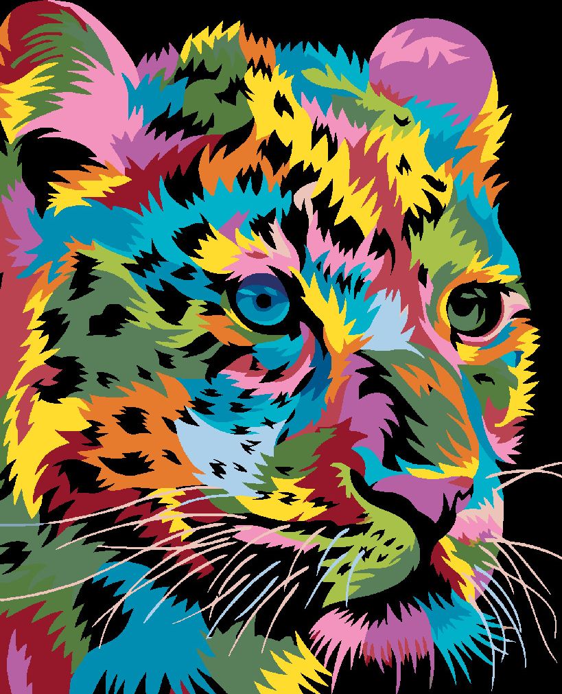 zuty Malování podle čísel - BAREVNÝ LEOPARD - Rozměr: 40x50 cm, Rámování: Varianta: vypnuté plátno na rám - obrázek 10