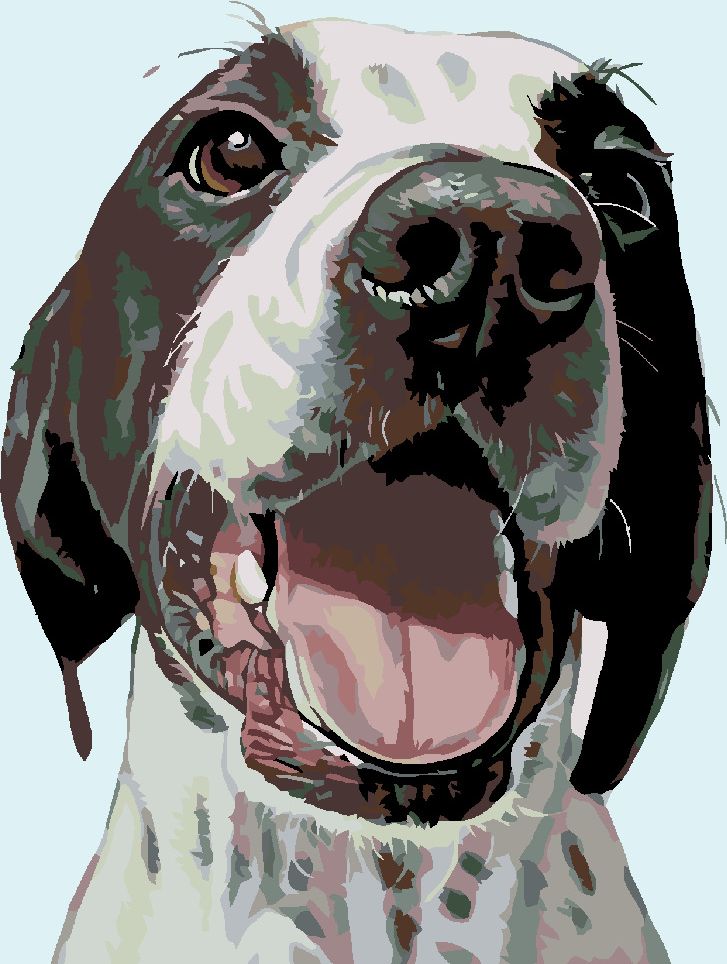 zuty Malování podle čísel - ŠŤASTNÝ PES - Rozměr: 40x50 cm, Rámování: Varianta: bez rámu a bez vypnutí plátna - obrázek 10