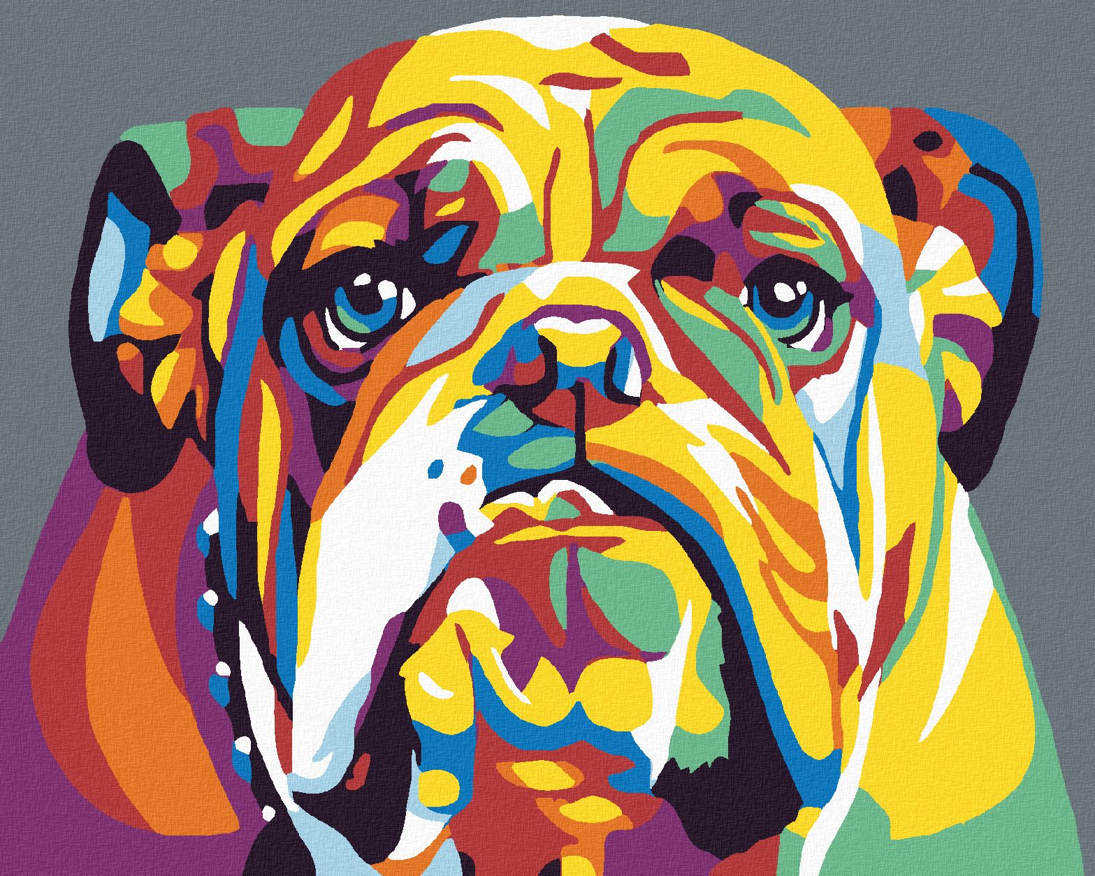 zuty Malování podle čísel - BULDOG II - Rozměr: 40x50 cm, Rámování: Varianta: vypnuté plátno na rám - obrázek 1