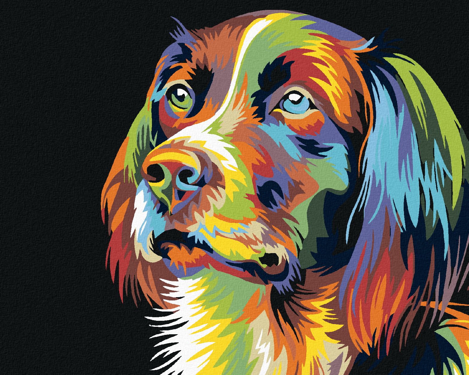 zuty Malování podle čísel - PES - Rozměr: 40x50 cm, Rámování: Varianta: vypnuté plátno na rám - obrázek 1
