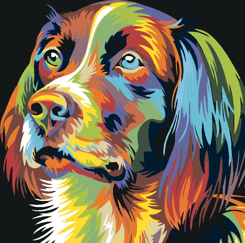 zuty Malování podle čísel - PES - Rozměr: 40x50 cm, Rámování: Varianta: vypnuté plátno na rám - obrázek 9