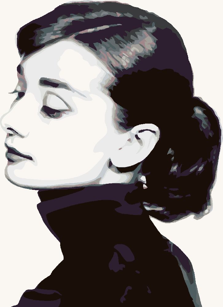 zuty Malování podle čísel - AUDREY HEPBURN I - Rozměr: 40x50 cm, Rámování: Varianta: bez rámu a bez vypnutí plátna - obrázek 10