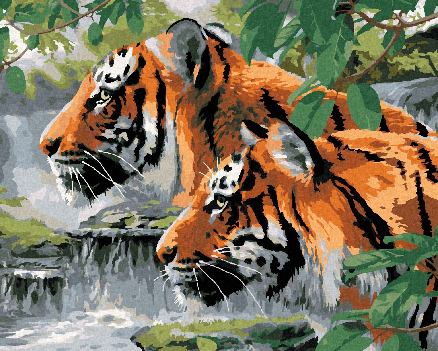 zuty Malování podle čísel - VYHLÍŽEJÍCÍ TYGŘI U ŘEKY (HOWARD ROBINSON) - Rozměr: 40x50 cm, Rámování: Varianta: vypnuté plátno na rám - obrázek 1