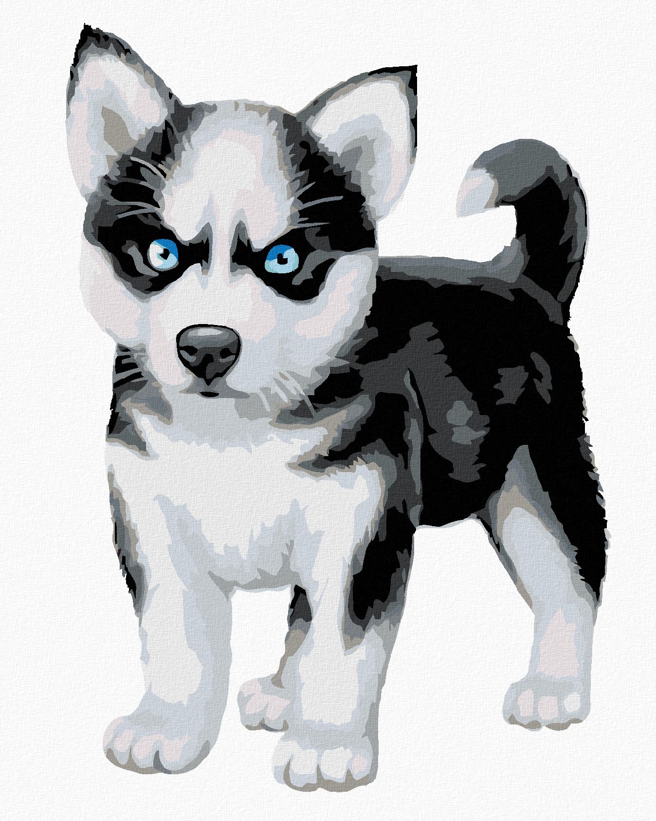 zuty Malování podle čísel - MODROOKÝ HUSKY - Rozměr: 40x50 cm, Rámování: Varianta: vypnuté plátno na rám - obrázek 1