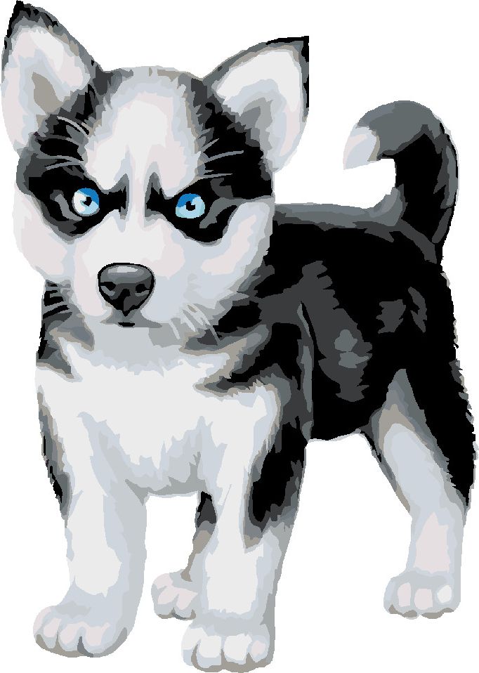 zuty Malování podle čísel - MODROOKÝ HUSKY - Rozměr: 40x50 cm, Rámování: Varianta: vypnuté plátno na rám - obrázek 8