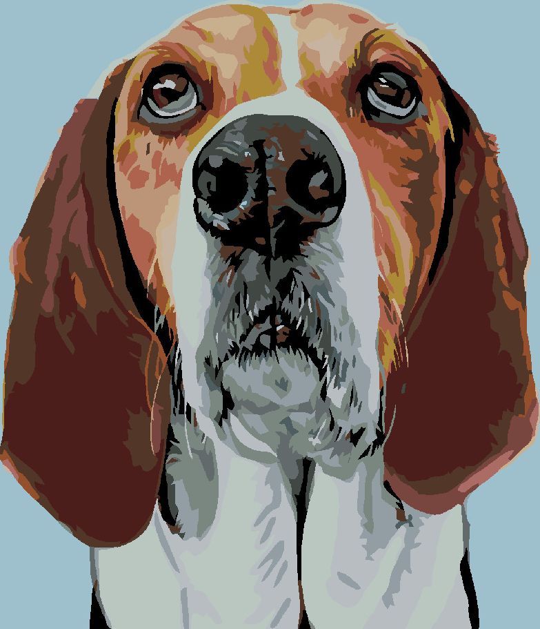 zuty Malování podle čísel - BÍGL - Rozměr: 40x50 cm, Rámování: Varianta: vypnuté plátno na rám - obrázek 4