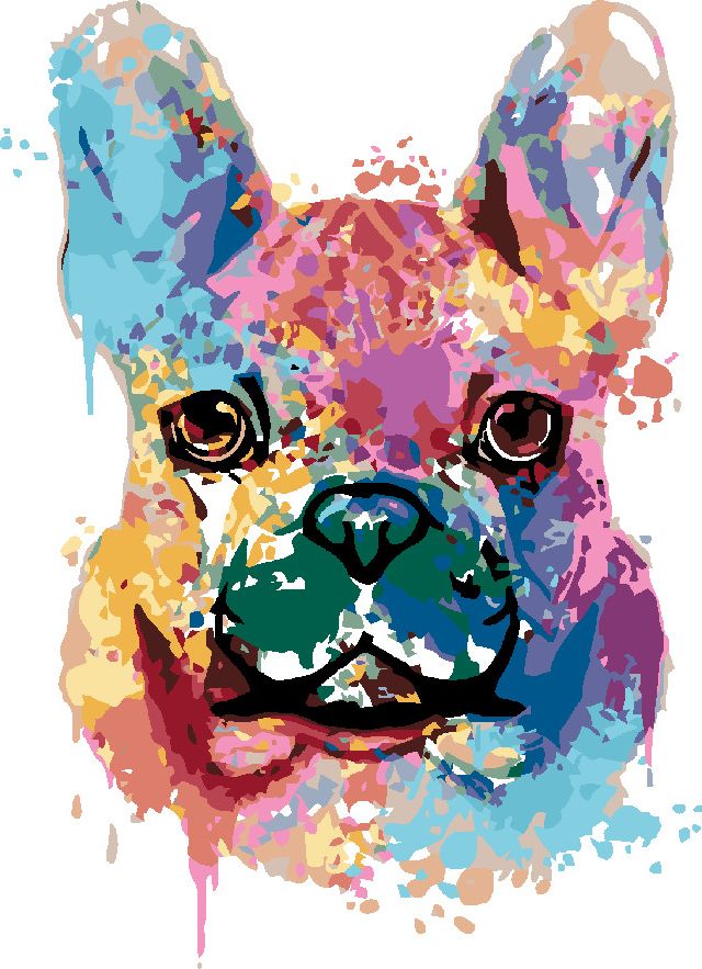 zuty Malování podle čísel - MALOVANÝ BULDOČEK - Rozměr: 40x50 cm, Rámování: Varianta: bez rámu a bez vypnutí plátna - obrázek 10