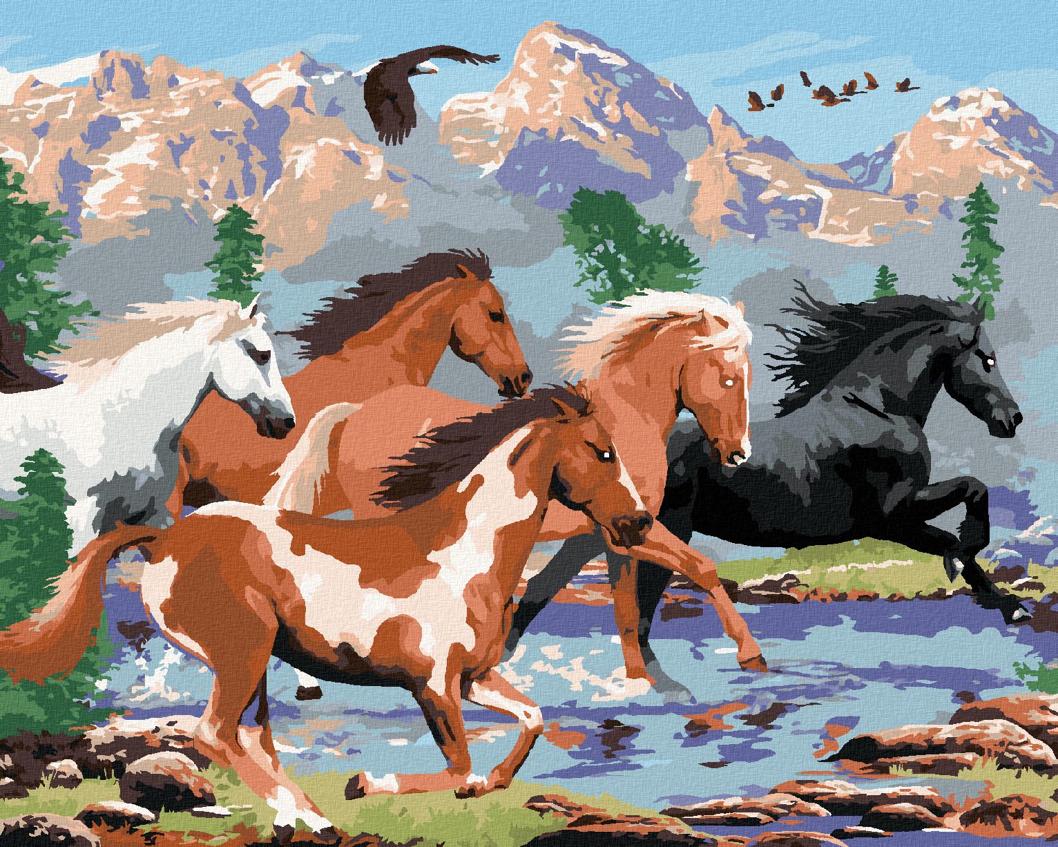 zuty Malování podle čísel - DIVOCÍ KONĚ V HORÁCH (HOWARD ROBINSON) - Rozměr: 40x50 cm, Rámování: Varianta: bez rámu a bez vypnutí plátna - obrázek 1