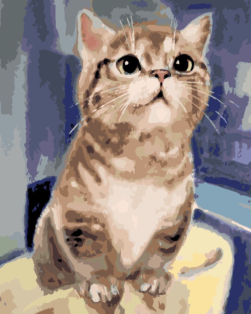 zuty Malování podle čísel - ZVĚDAVÁ KOČKA - Rozměr: 40x50 cm, Rámování: Varianta: bez rámu a bez vypnutí plátna - obrázek 10