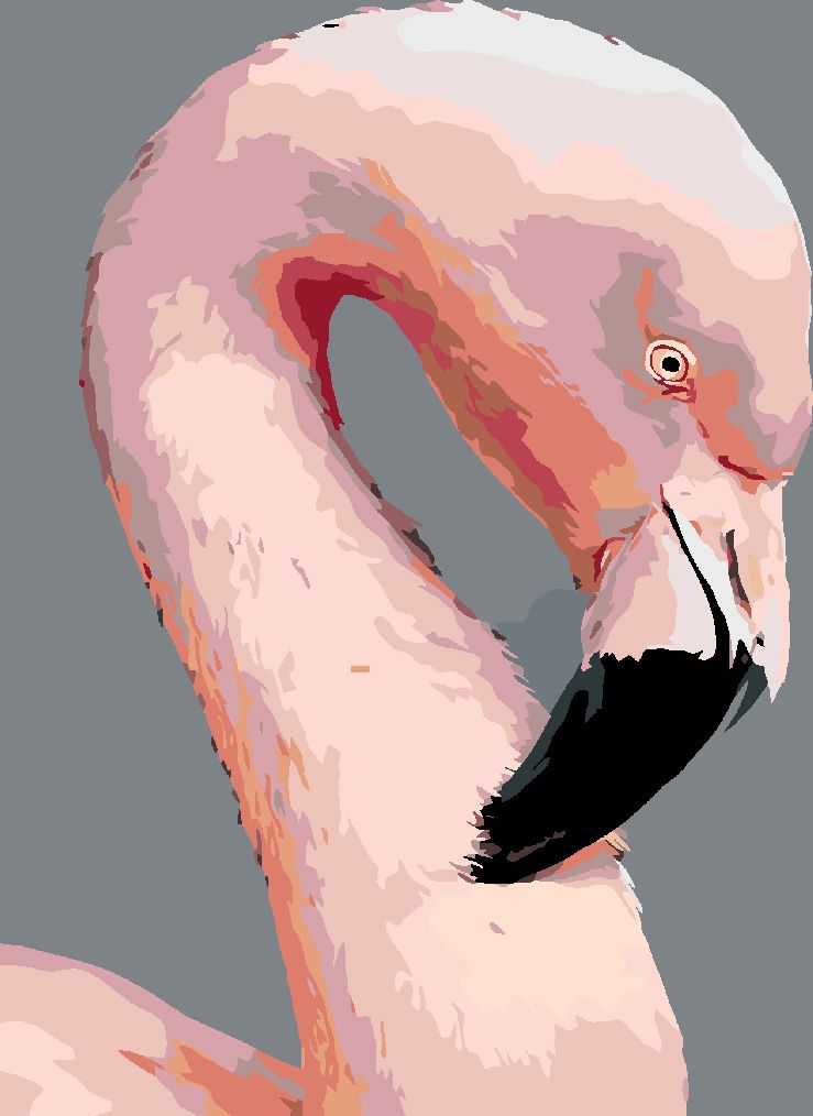 zuty Malování podle čísel - RŮŽOVÝ PLAMEŇÁK - Rozměr: 40x50 cm, Rámování: Varianta: bez rámu a bez vypnutí plátna - obrázek 2