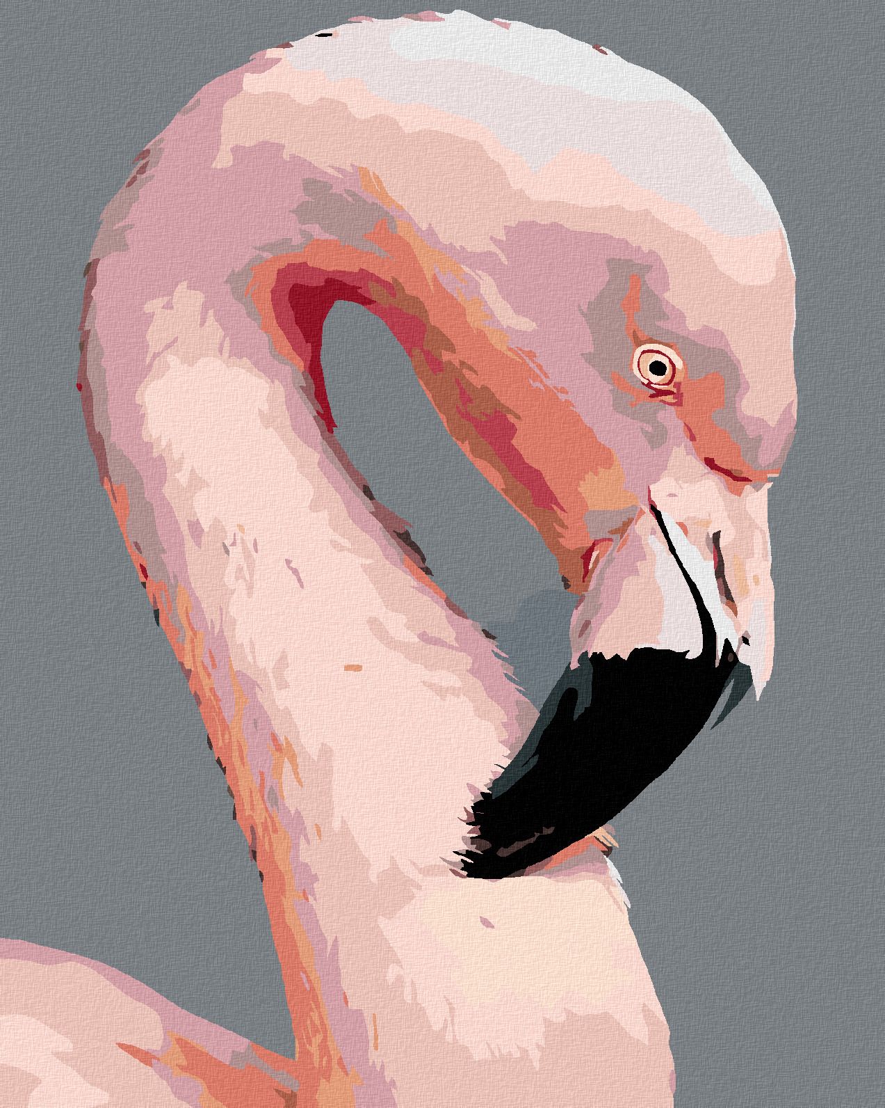 zuty Malování podle čísel - RŮŽOVÝ PLAMEŇÁK - Rozměr: 40x50 cm, Rámování: Varianta: vypnuté plátno na rám - obrázek 1