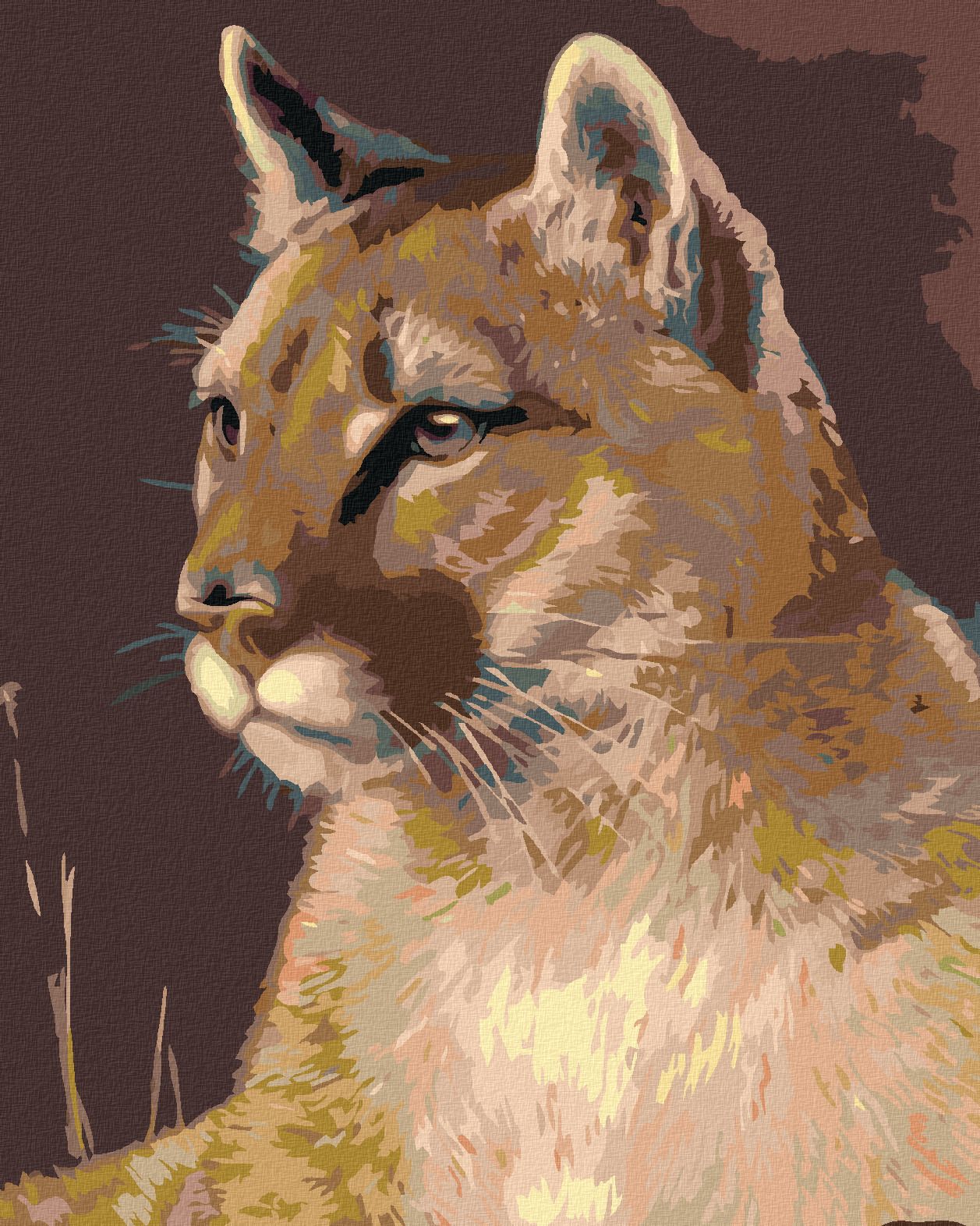 zuty Malování podle čísel - PUMA - Rozměr: 40x50 cm, Rámování: Varianta: bez rámu a bez vypnutí plátna - obrázek 1