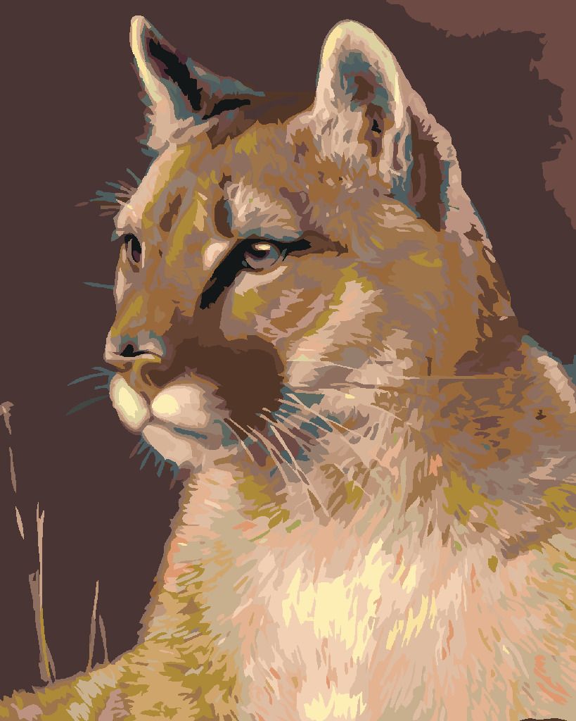 zuty Malování podle čísel - PUMA - Rozměr: 40x50 cm, Rámování: Varianta: bez rámu a bez vypnutí plátna - obrázek 9