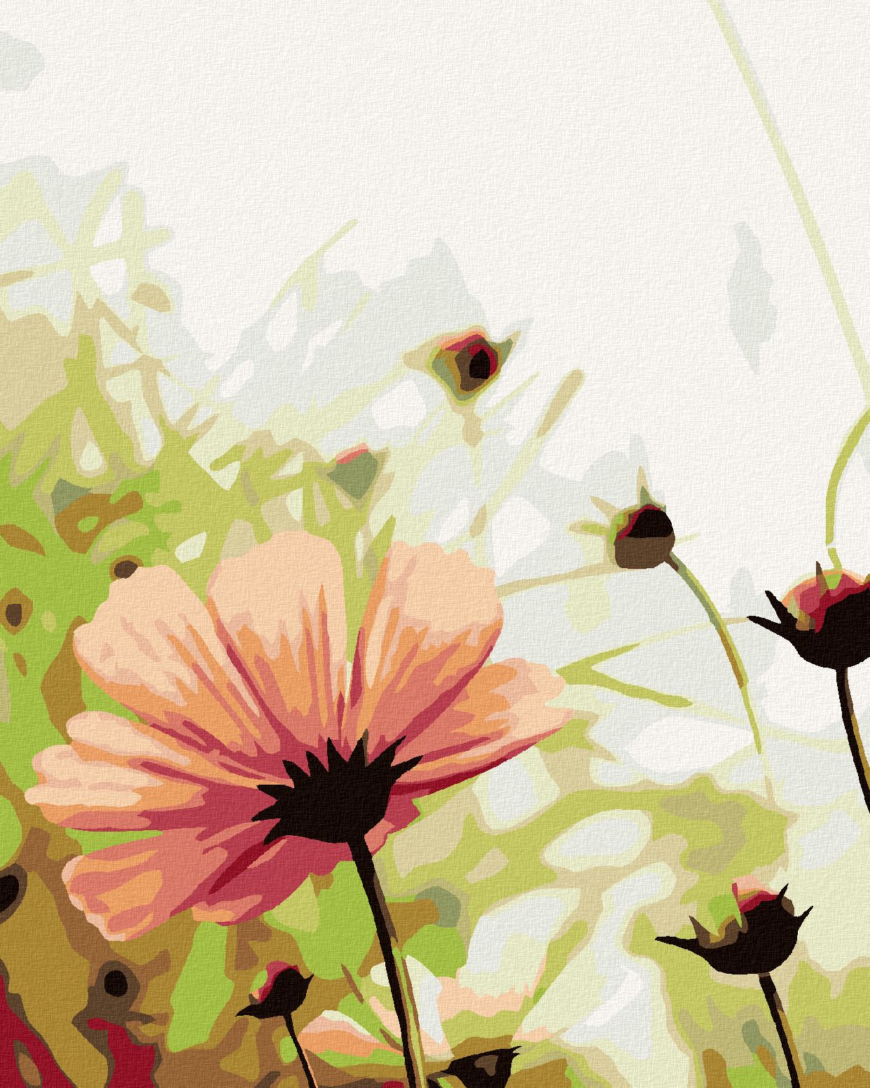 zuty Malování podle čísel - ROZKVĚTLÁ KVĚTINA NA LOUCE - Rozměr: 40x50 cm, Rámování: Varianta: vypnuté plátno na rám - obrázek 1