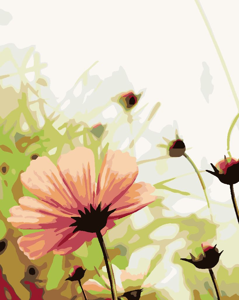 zuty Malování podle čísel - ROZKVĚTLÁ KVĚTINA NA LOUCE - Rozměr: 40x50 cm, Rámování: Varianta: vypnuté plátno na rám - obrázek 8