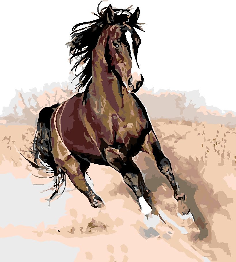 zuty Malování podle čísel - HNĚDÁK V PÍSKU - Rozměr: 40x50 cm, Rámování: Varianta: bez rámu a bez vypnutí plátna - obrázek 3