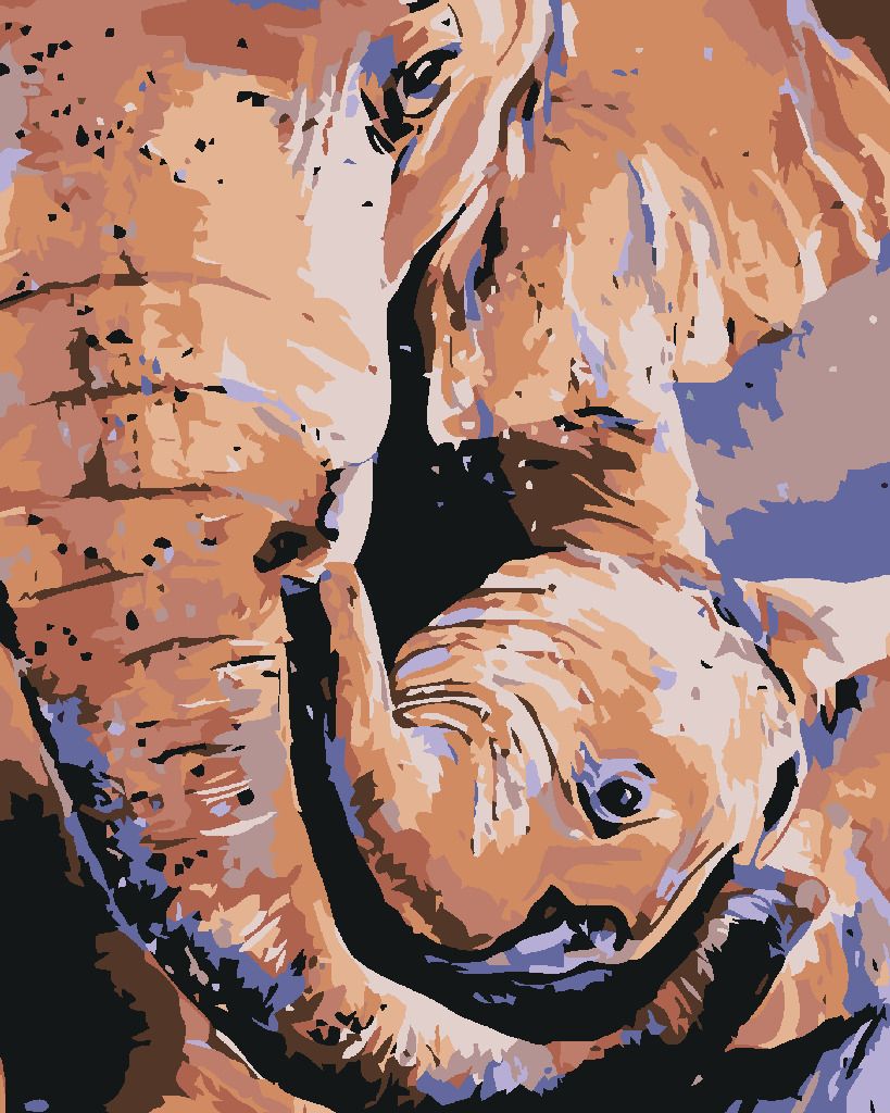 zuty Malování podle čísel - SLONICE A SLŮNĚ - Rozměr: 40x50 cm, Rámování: Varianta: bez rámu a bez vypnutí plátna - obrázek 3