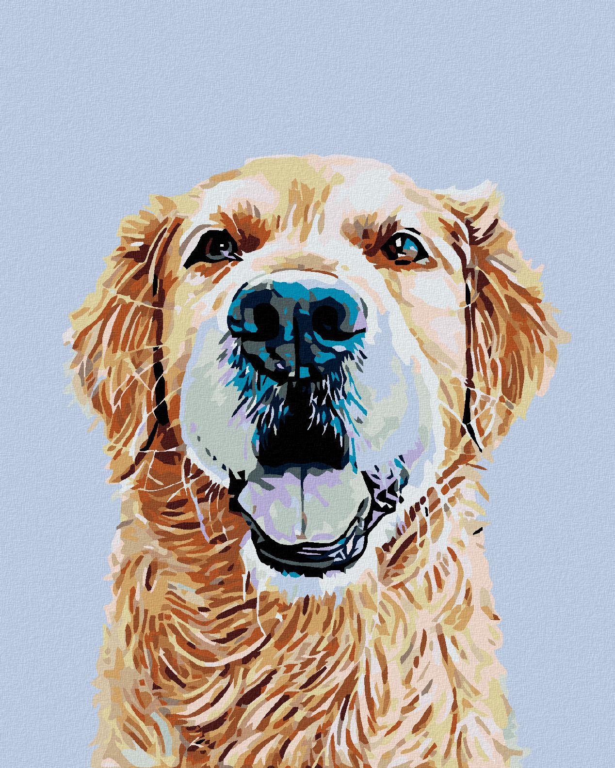 zuty Malování podle čísel - ZLATÝ RETRÍVR - Rozměr: 40x50 cm, Rámování: Varianta: bez rámu a bez vypnutí plátna - obrázek 1