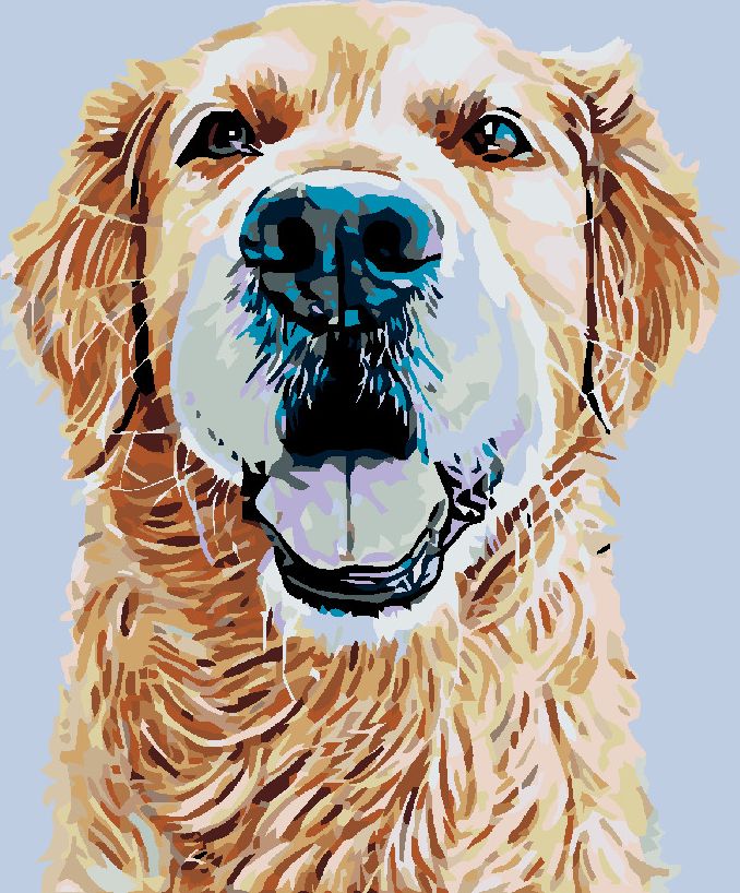 zuty Malování podle čísel - ZLATÝ RETRÍVR - Rozměr: 40x50 cm, Rámování: Varianta: vypnuté plátno na rám - obrázek 5