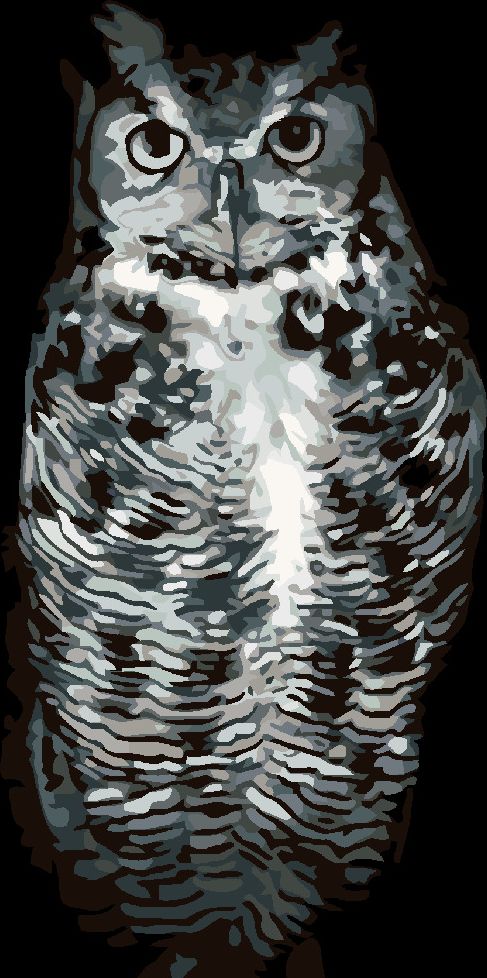 zuty Malování podle čísel - ČERNOBÍLÁ SOVA - Rozměr: 40x50 cm, Rámování: Varianta: bez rámu a bez vypnutí plátna - obrázek 6