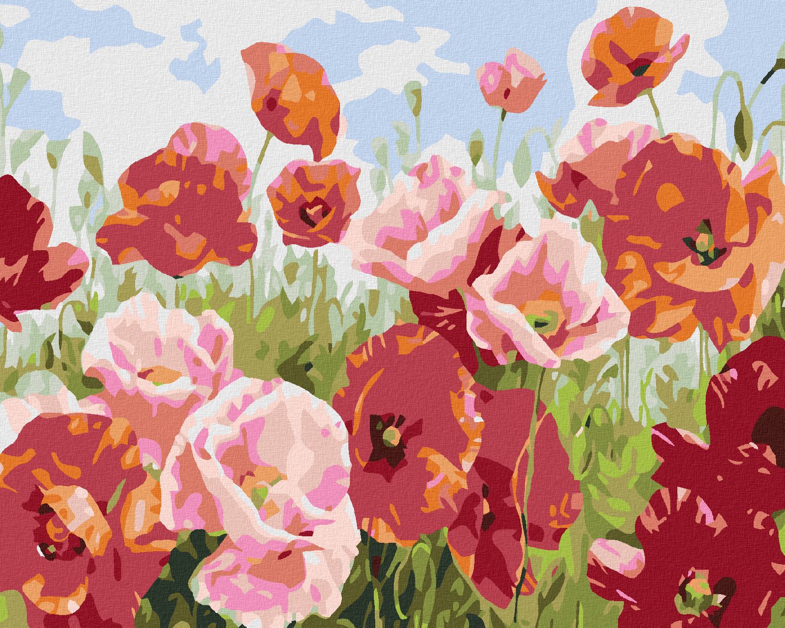 zuty Malování podle čísel - VLČÍ MÁKY V MNOHA ODSTÍNECH - Rozměr: 40x50 cm, Rámování: Varianta: vypnuté plátno na rám - obrázek 1